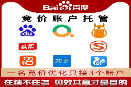 网络推广与竞价策略实战案例
